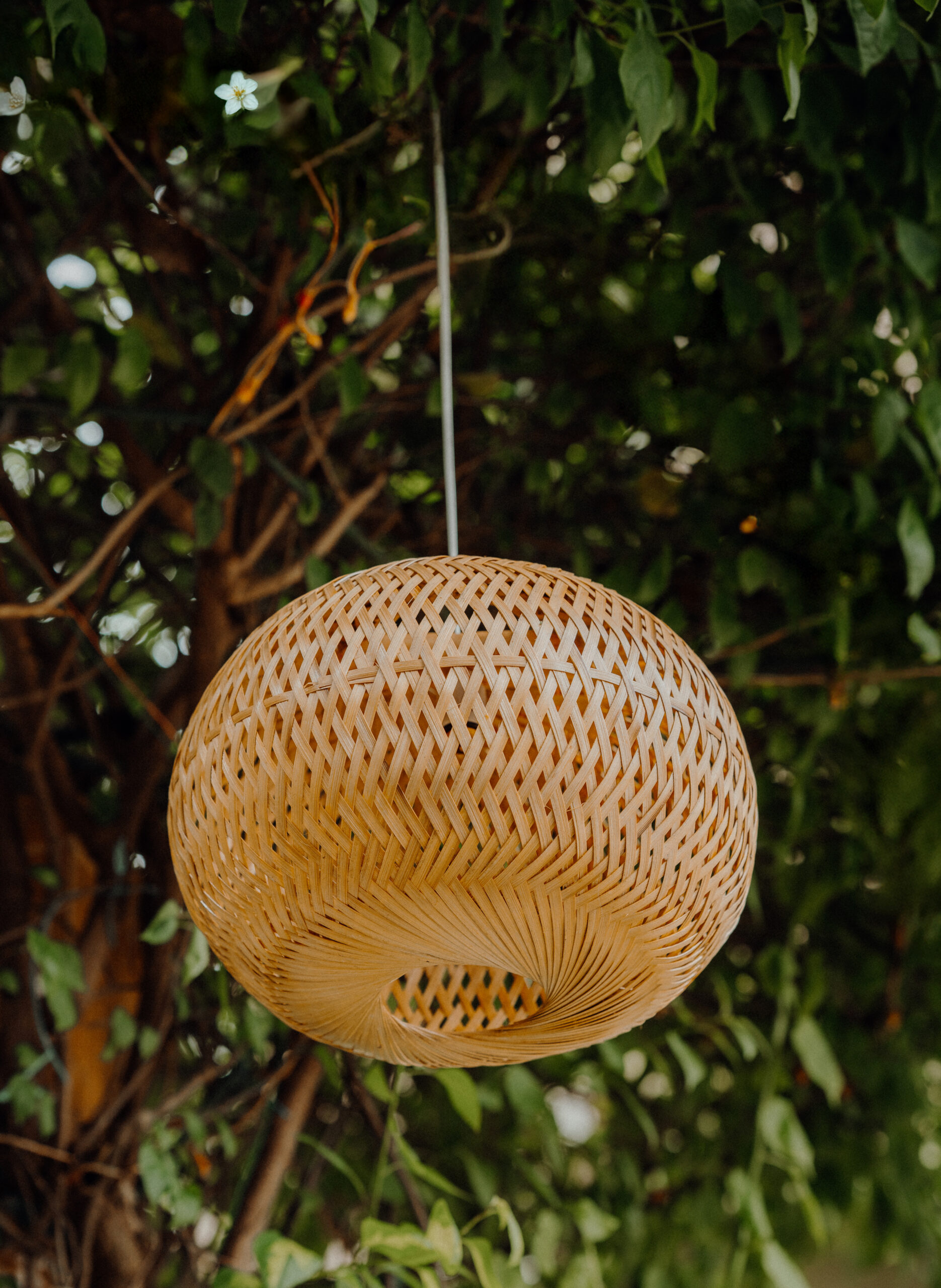 Bamboo Ball Hanging Lamp